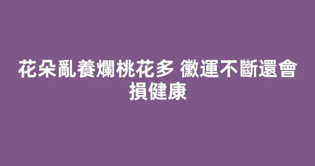 花朵亂養爛桃花多 黴運不斷還會損健康